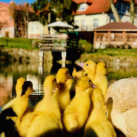 Palac Spichrz Borcz Esterno foto